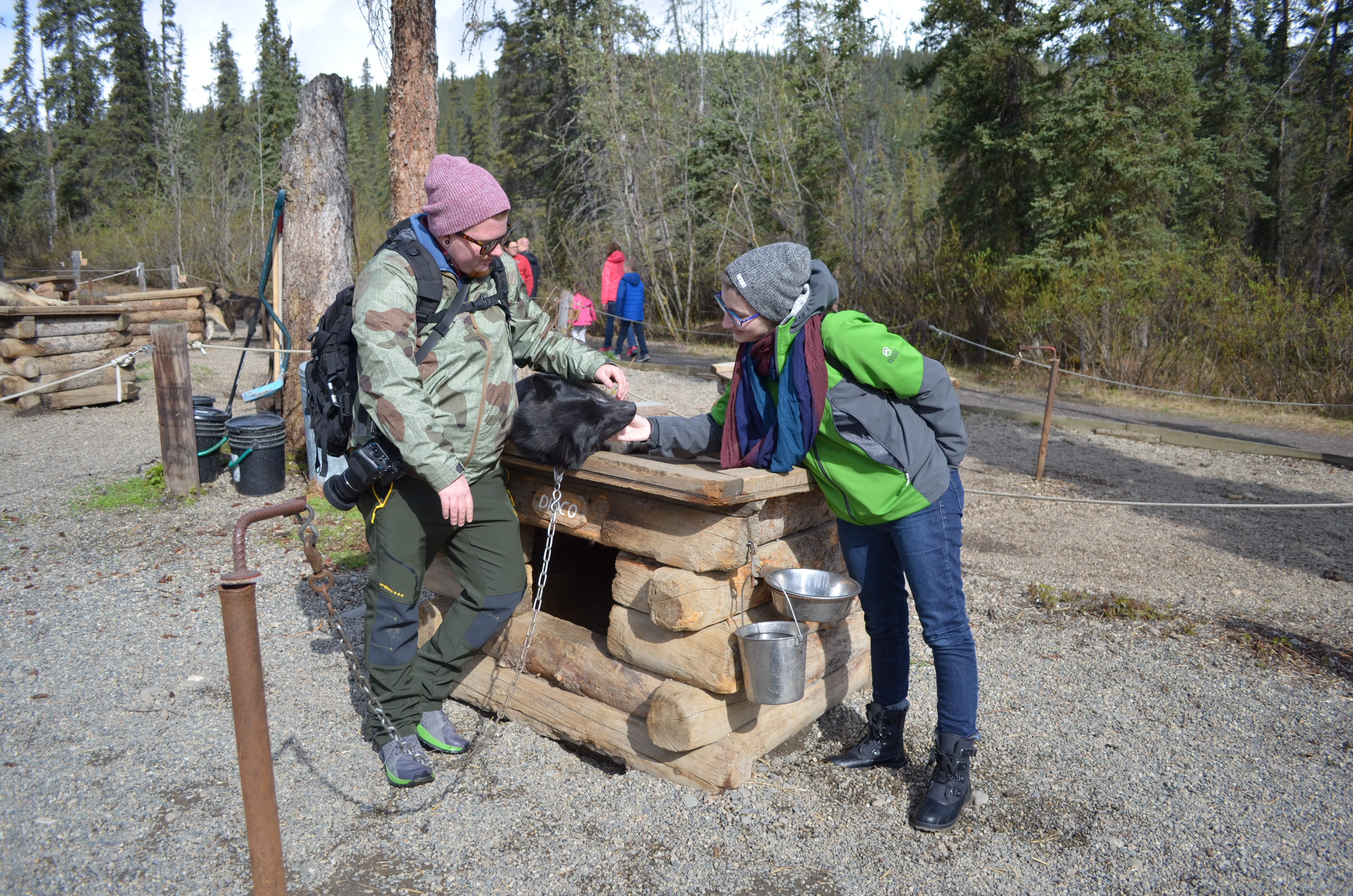 ./2017/08 - Alaska Cruise/03 - Denali/DSC_0314.JPG